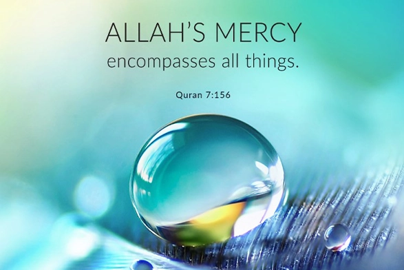 Quran verse
Fear and hope in Allah
Mercy of Allah
Knowledge of Allah
